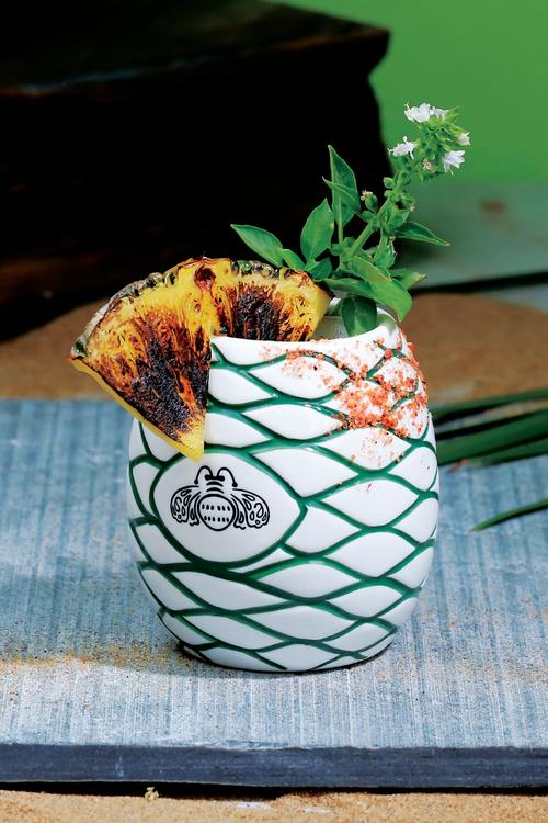 AGAVE MARGARITA