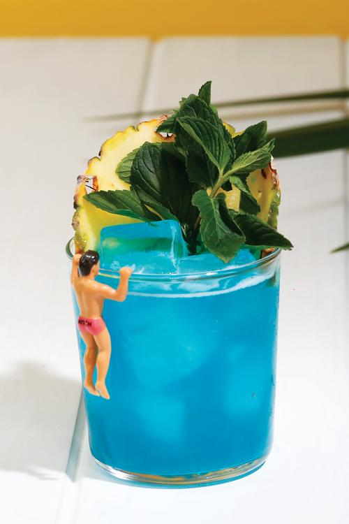 BLUE VACATIONIST